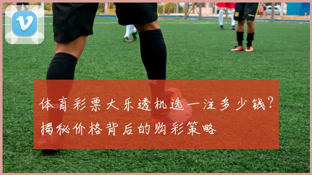 体育彩票大乐透机选一注多少钱？揭秘价格背后的购彩策略